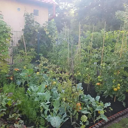 In Mit Grill Und Garten Apartman